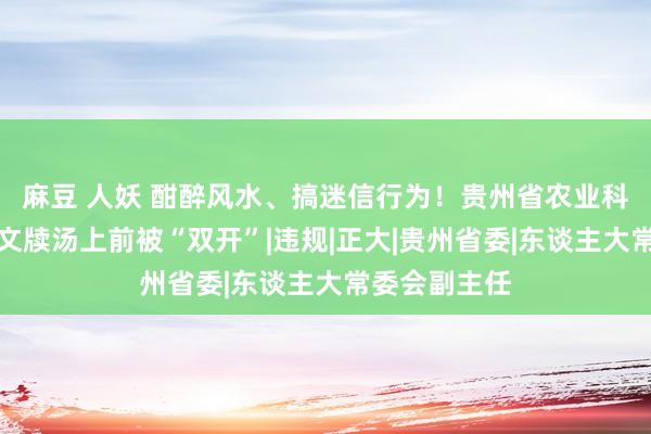 麻豆 人妖 酣醉风水、搞迷信行为！贵州省农业科学院原党委文牍汤上前被“双开”|违规|正大|贵州省委|东谈主大常委会副主任