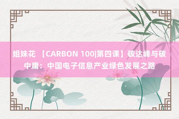 姐妹花 【CARBON 100|第四课】碳达峰与碳中庸：中国电子信息产业绿色发展之路