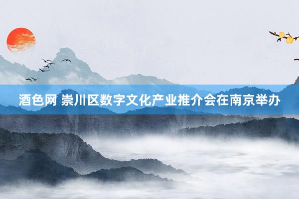 酒色网 崇川区数字文化产业推介会在南京举办