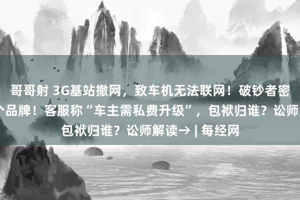 哥哥射 3G基站撤网，致车机无法联网！破钞者密集投诉，涉多个品牌！客服称“车主需私费升级”，包袱归谁？讼师解读→ | 每经网