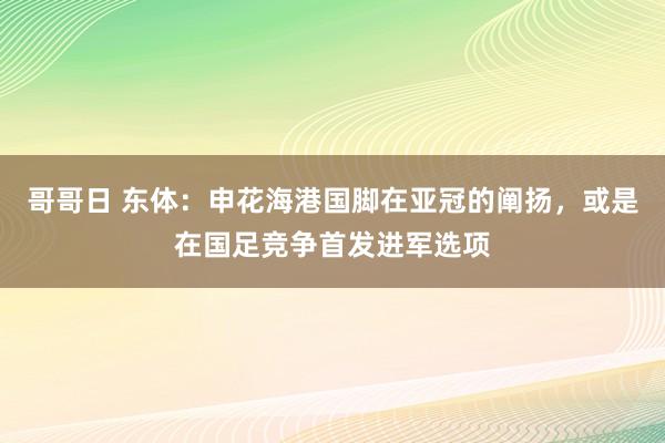 哥哥日 东体：申花海港国脚在亚冠的阐扬，或是在国足竞争首发进军选项